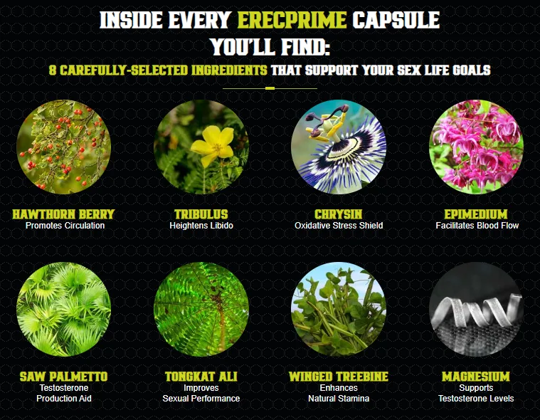 EndoPeak Ingredients